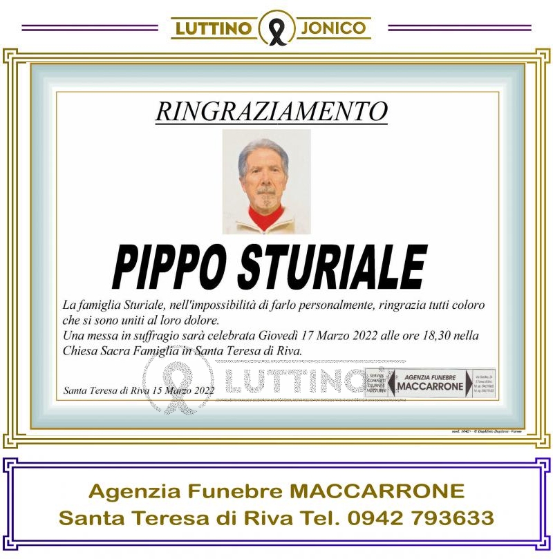Pippo  Sturiale